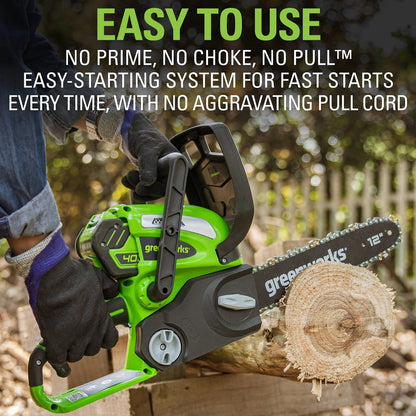 Greenworks 40V 12 in Cordless Chainsaw With 2.0 Ah Battery And Charger - 20262