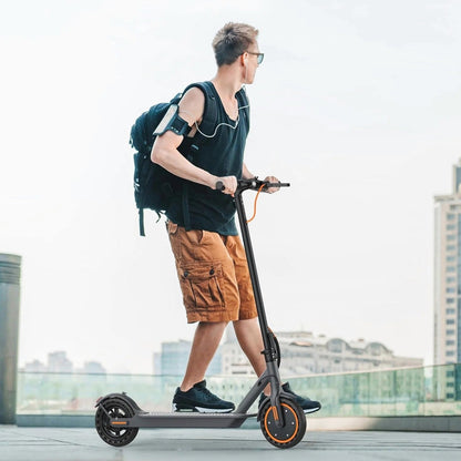 Electric Scooter 10 Inch Solid Tires, 500W, Dual Suspension