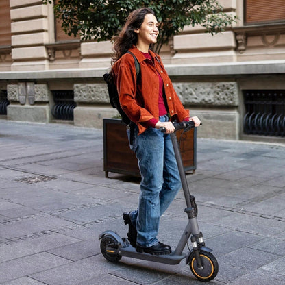 Electric Scooter 10 Inch Solid Tires, 500W, Dual Suspension